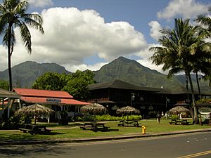 Hanalei, Kauai HI