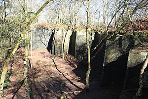 Harmers wood quarry