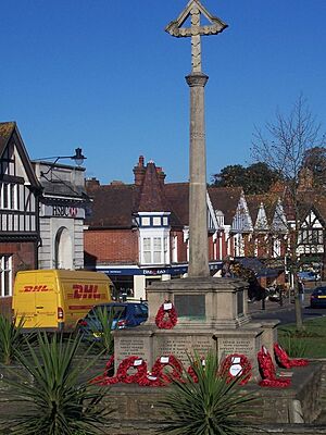 Haslemere War Memorial - geograph.org.uk - 1035113