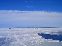 Ice fishing shacks on Pigeon Lake at Pigeon Lake Provincial Park, Alberta