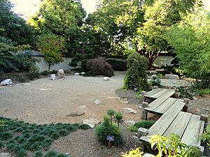 Japanese Garden - J. C. Raulston Arboretum - DSC06270