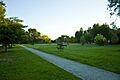 Joshson park 2