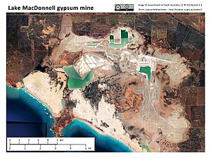 Lake MacDonnell (Kevin) gypsum mine 2019 (LocationSAMapViewer CC BY)