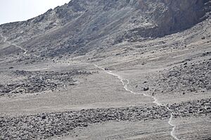 Lascar The long trail through the alpine desert (4464006765)