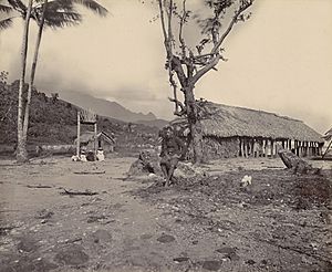 Le fort de Teraupo, 1897