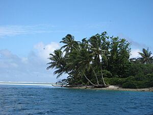 Line5304 - Flickr - NOAA Photo Library
