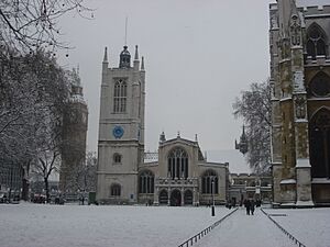 London in snow 2 February 2009 411