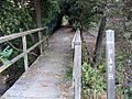 Los Altos Hills path