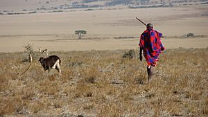 Maasai man, Eastern Serengeti, October 2006