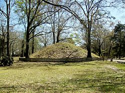 Marksville State Historic Site Burial Mound