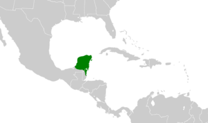 Melanerpes pygmaeus map.svg