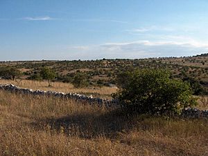 Murge Castel del Monte