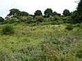 Nacton Meadows 8