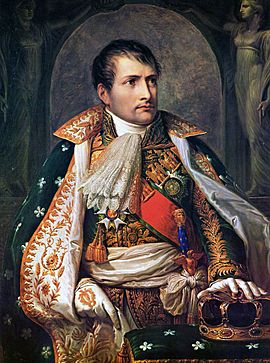Napoleon I of France by Andrea Appiani