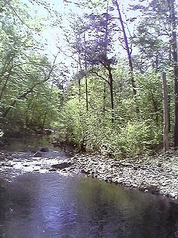 New Hope Creek by Laurel Hill foot trail.jpg