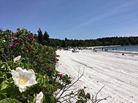 Pemaquid Beach -2