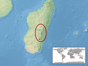 Phelsuma barbouri distribution.png