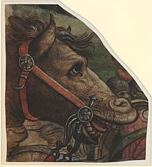 Pieter Coecke van Aelst I or workshop - Head of a Horse