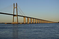 Puente Rosario victoria y Luna