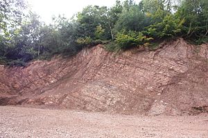 Quarry cutting, Bilberry Hill
