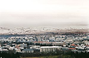 Reykjavik from Hallgrimskikrja