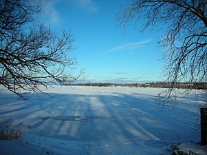 Rice lake Courtis point - panoramio