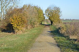 Ring's End 5