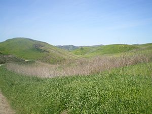 Rolling Hills at Upper Las Virgenes Canyon
