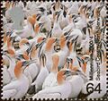 Scoseabirdstamp