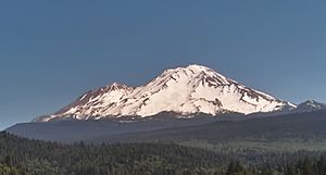 Shasta from south