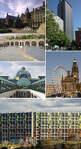 Clockwise from top left: The Sheffield Town Hall; St Paul's Tower from Arundel Gate; the Wheel of Sheffield; Meadowhall shopping centre; Sheffield station and Sheaf Square. Park Hill at the bottom.