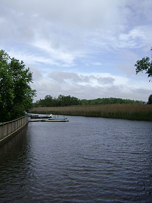 SparkillCreek TidalSection
