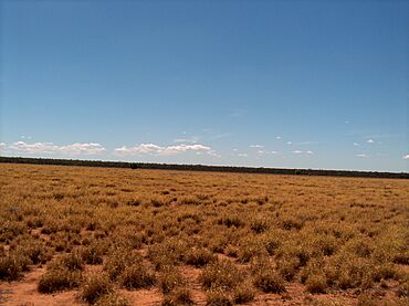 St. George fields - panoramio.jpg