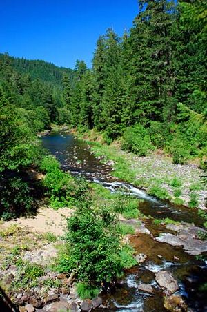 Steamboat Creek (Douglas County, Oregon scenic images) (douDA0114)