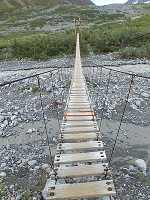 Suspension bridge over College Creek, west of Gulkana Glacier, near Richardson Highway, August 11, 2013