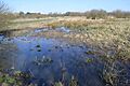 Thorley Wash 10