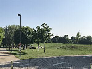 Three Mills Green on Three Mills Island