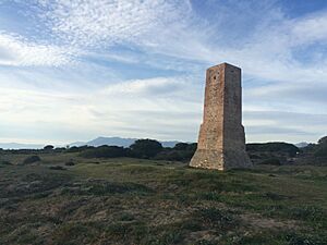 Torre Ladrones (15521745483)