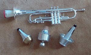 TrumpetMutes