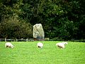 Ty'n y Cellar Standing Stone, Margam, NPT, Oct 2013 (3b)