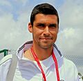 Victor Hanescu - 2011 Wimbledon