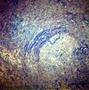 The Vredefort Dome in South Africa, part of a giant crater.