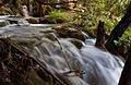 Waterfall in plitvicka romanceor 2