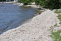 Zebra mussels line shore on Green Bay at Red River County Park in Kewaunee County Wisconsin
