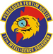 11th Intelligence Squadron.PNG