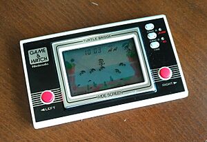 171021 NintnedoGame&Watch TrutlBridge