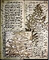 1860 Artemisia Doctor Losee Ledger