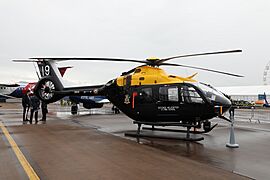 2019 Royal International Air Tattoo 1P4A8375 (48387276351)
