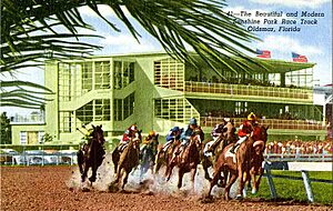 41, The Beautiful and Modern Sunshine Park Race Track (NBY 4616)
