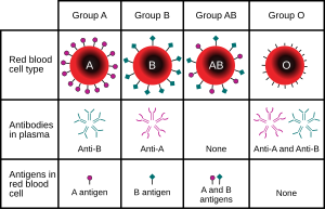 ABO blood type